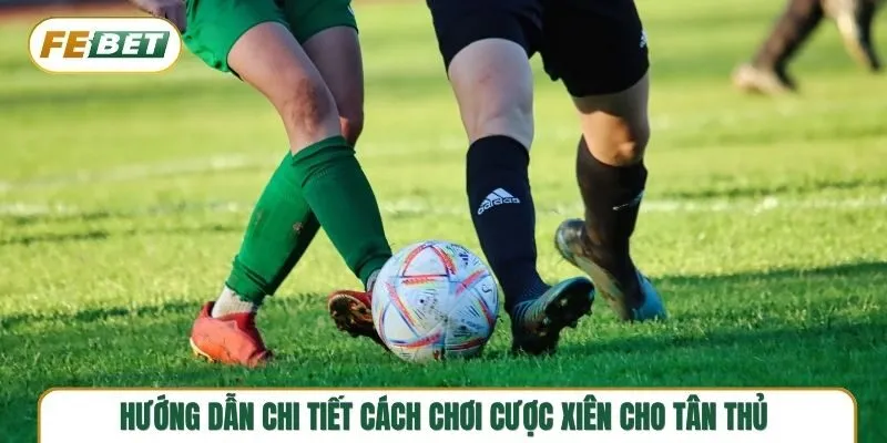 Tất tần tật cách chơi cược xiên cực đơn giản và dễ hiểu